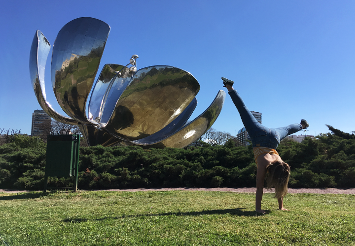 floralis generica recoleta