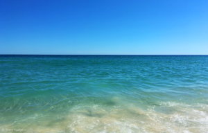 Janeiro 2018 – Document Your Life