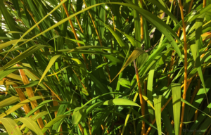 Fevereiro 2018 – Document Your Life