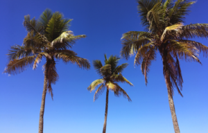 Abril 2018 – Document Your Life