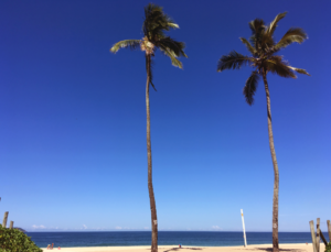 Um dia na praia pra relaxar