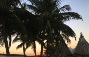 Maio 2018 – Document Your Life