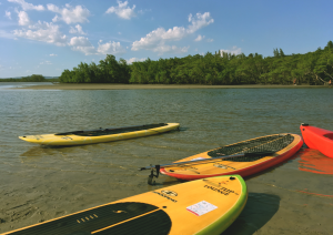 Stand Up Paddle no Rio + Dicas para iniciantes