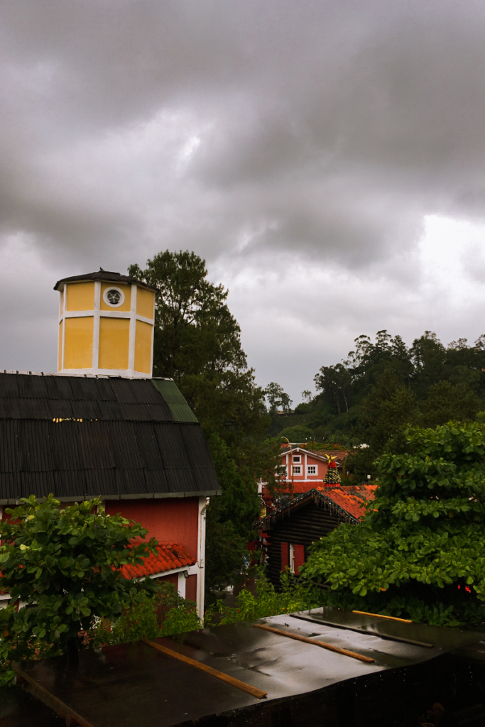 centro de penedo