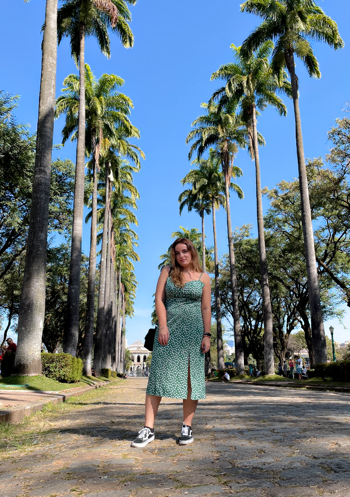 palmeiras praça da liberdade belo horizonte