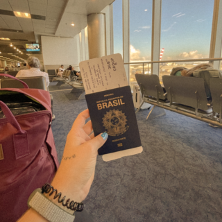 O melhor lugar para ver cangurus em Queensland