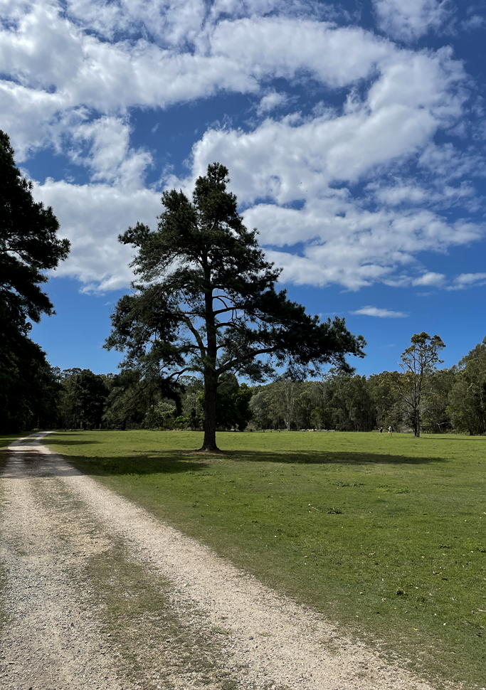 caminhada australia